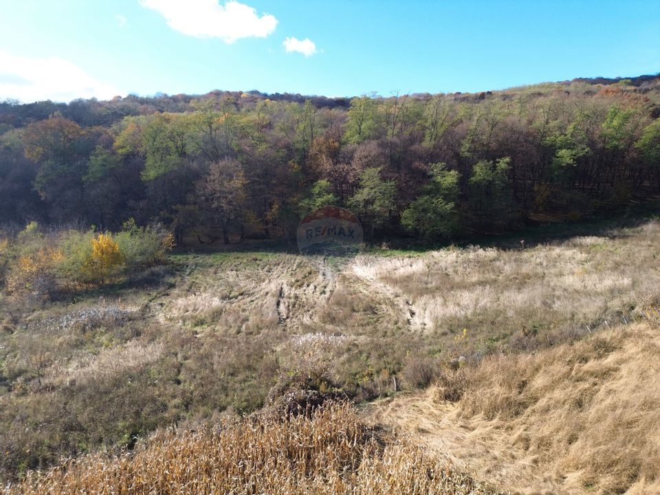 Teren de vânzare – zona Wevern, Medias – 1.222 mp lângă padure