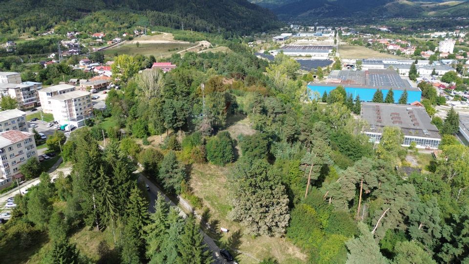 De vânzare – Teren 5.193 mp, pășune parțial împădurită, Câmpulung