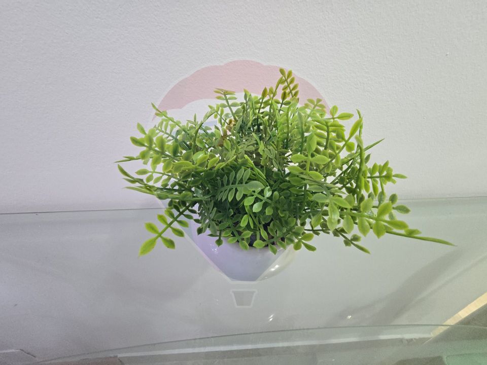 Apartament cu 1 camere de închiriat în zona Stefan cel Mare