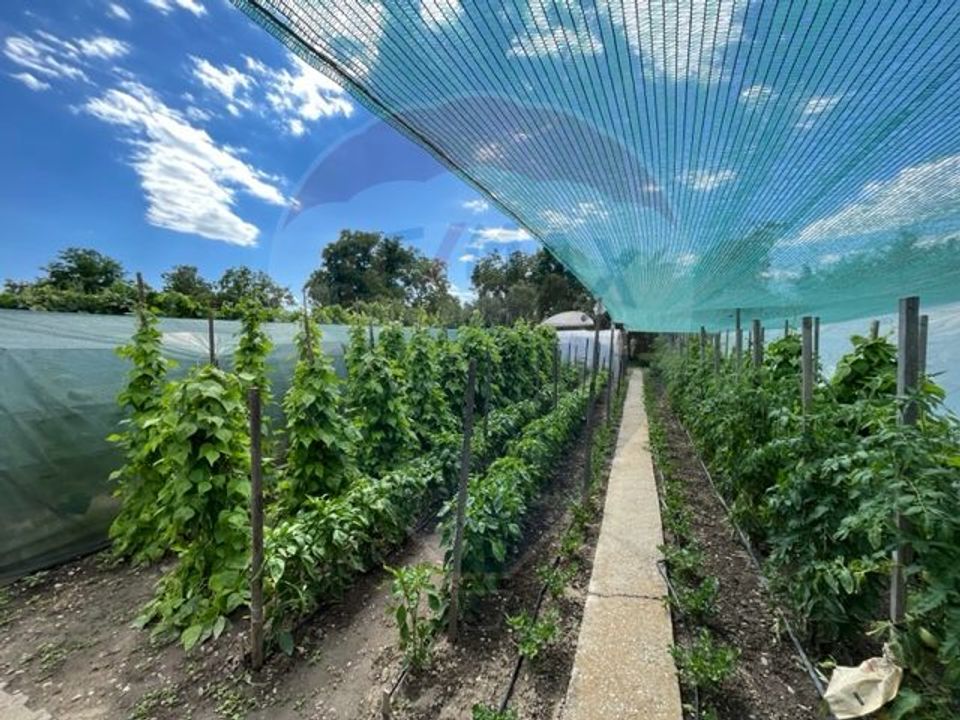 Casă  str. Progresului , Sebes, destinatie : uni/multifamiliala