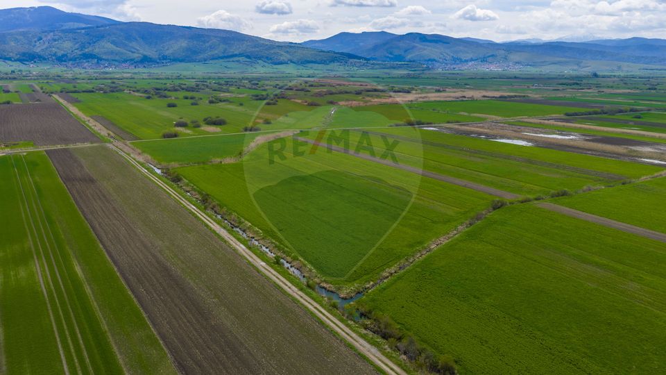 Land 4,000sqm Stupinii Prejmerului / Strada FN
