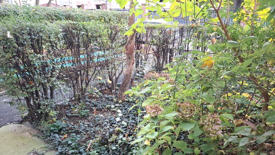 For sale Studio 25.4sqm, 131 Ferdinand Blvd.