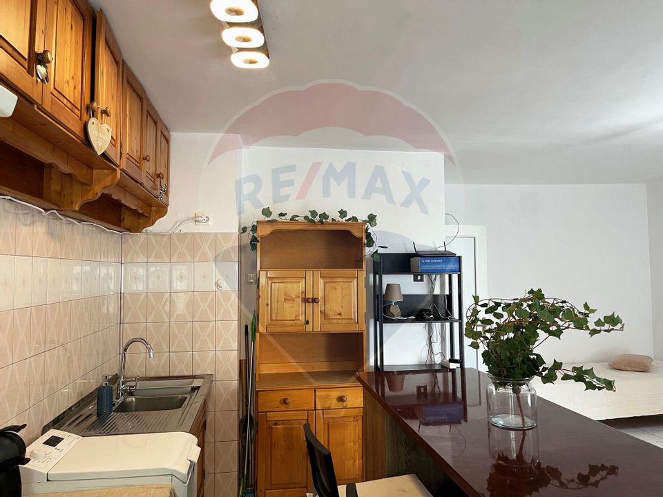 1 room Apartment for rent, Teiul Doamnei area