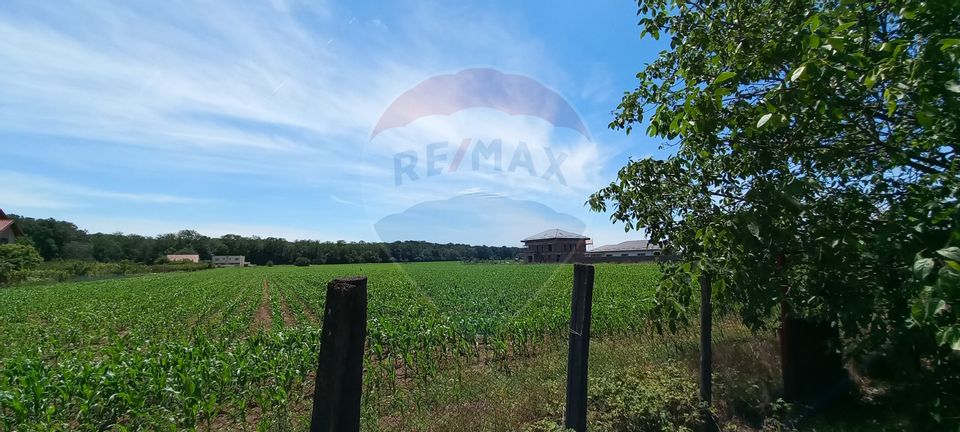 Land 4,370sqm Vladiceasca / Soseaua Vladiceasca