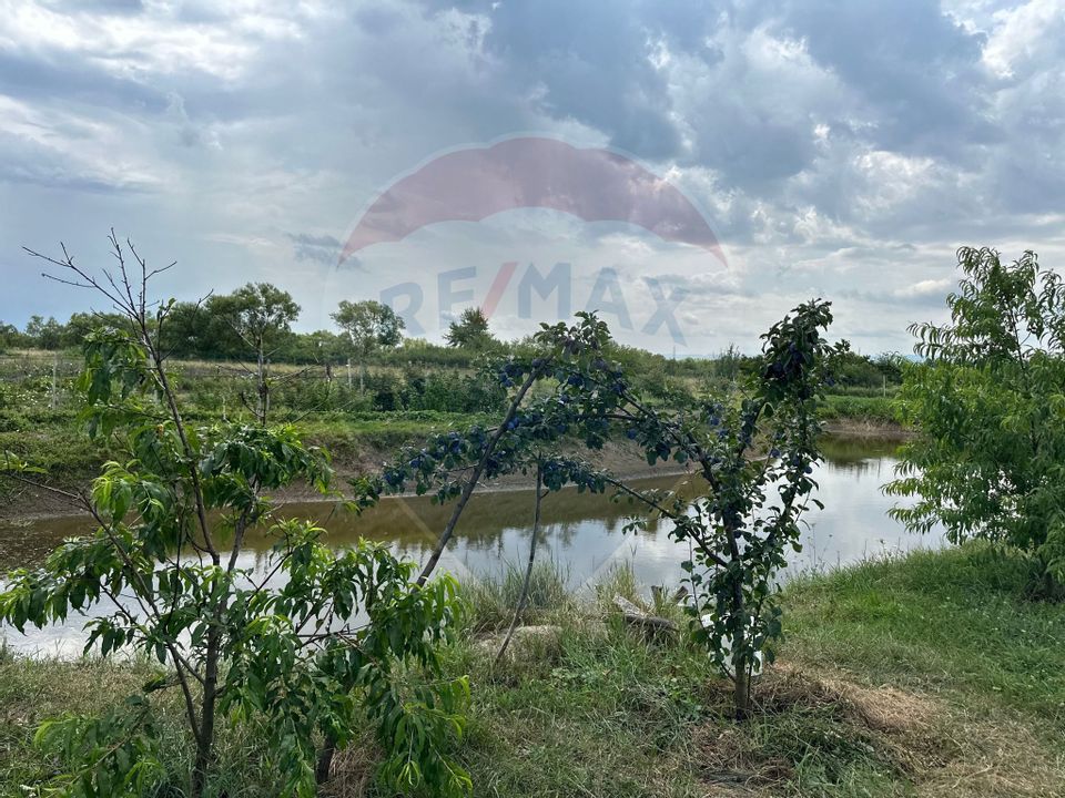 Land 29,656sqm Bozanta Mica / Strada Deva