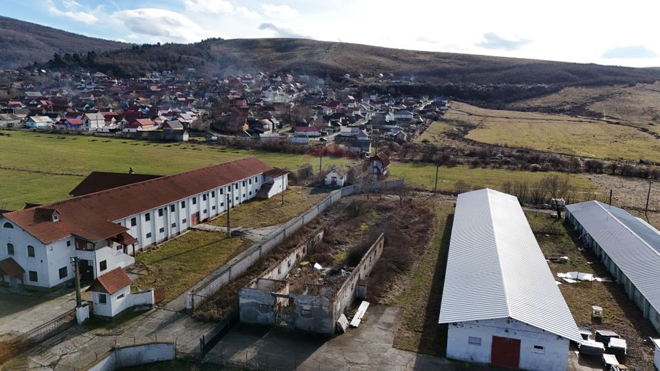 Teren industrial 1.729 mp I Demolare + construcție hală Teliu