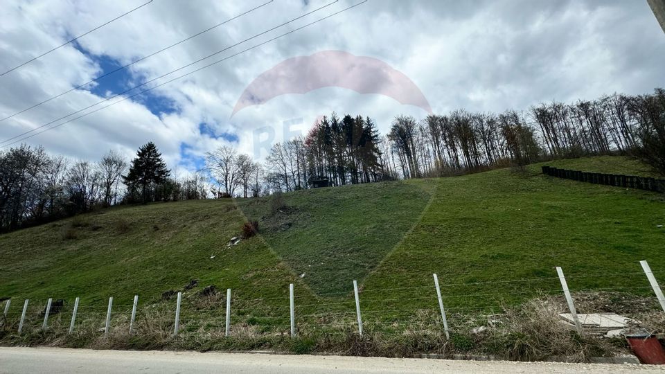 Teren generos, dar ieftin, in Nămăești - Argeș