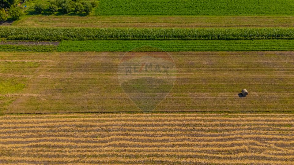 COMISION 0% Teren 3098 mp Brasov / Stupini