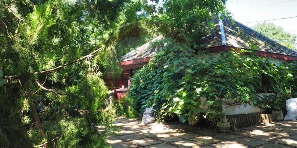 Vila la Lacul Snagov deschidere 21 ml,  ponton propriu