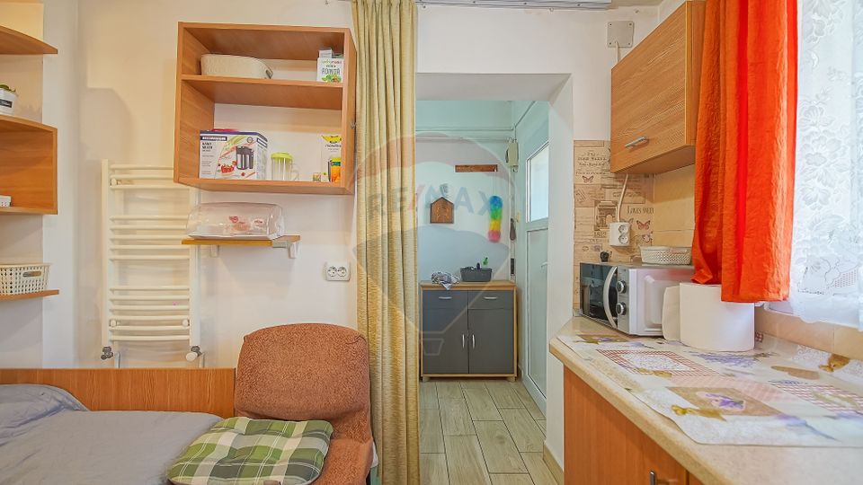 3 room House / Villa for sale, Brasovul Vechi area