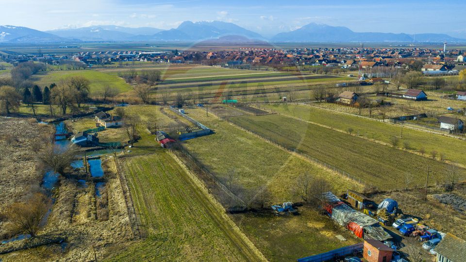 Teren Intravilan 5.000 mp Prejmer -  Strada Preot Ioan Popescu