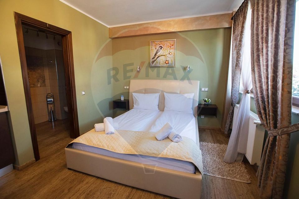 1 room apartment, elevator, central
