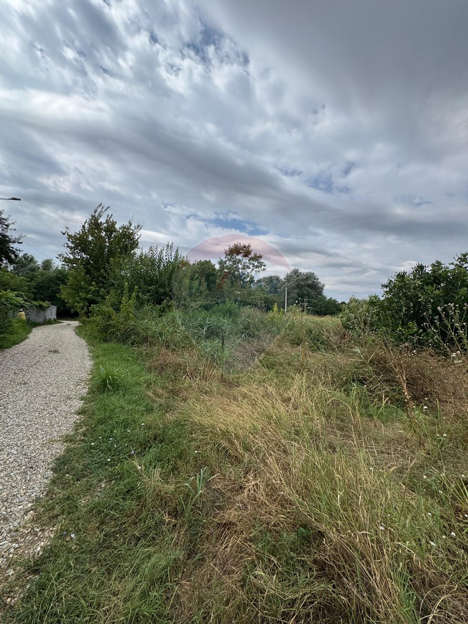 Land 1,300sqm Magurele / Strada Campul cu Maci