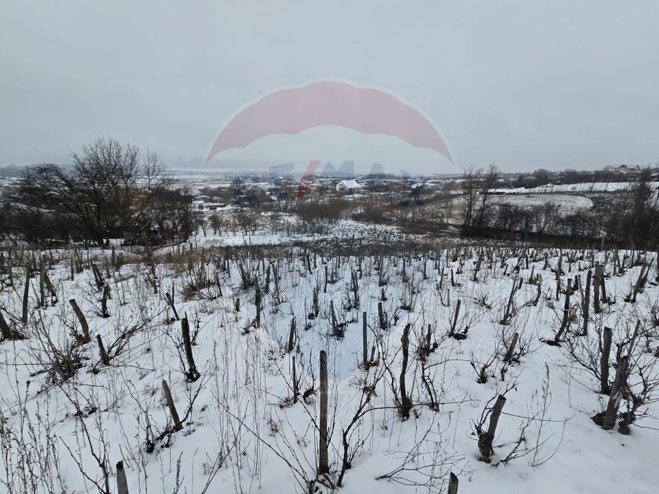 Land 6,850sqm Izvor / Aleea Al Parului