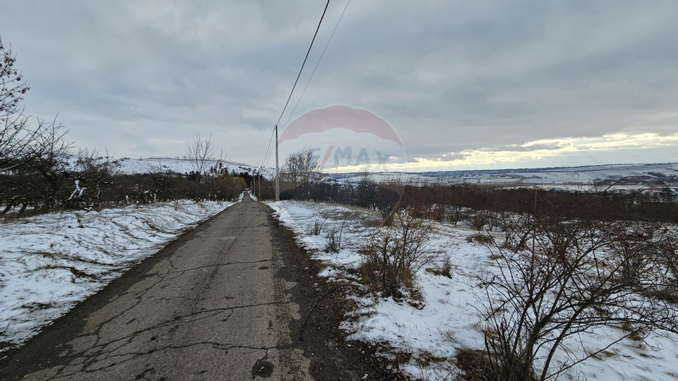 Teren 10,000mp Rădășeni / Șoseaua DN2-E85, județul Suceava
