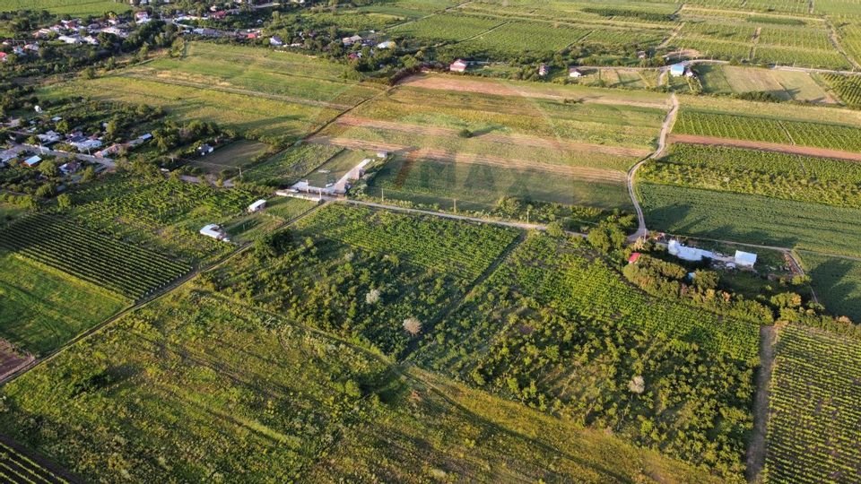 Proiect unic cu căsuțe tip A – oportunitate turistică excelentă!