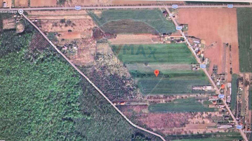 Teren 704 mp Silistea Snagovului vecinatate Padurea Snagov