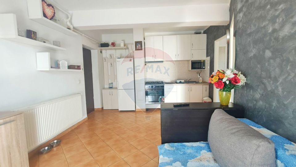 Apartament cochet de 1 cameră + dormitor pe strada Porii, Florești