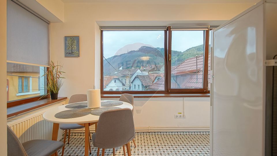 Casa cu 5 studiouri independente, terasa rooftop, vedere montana