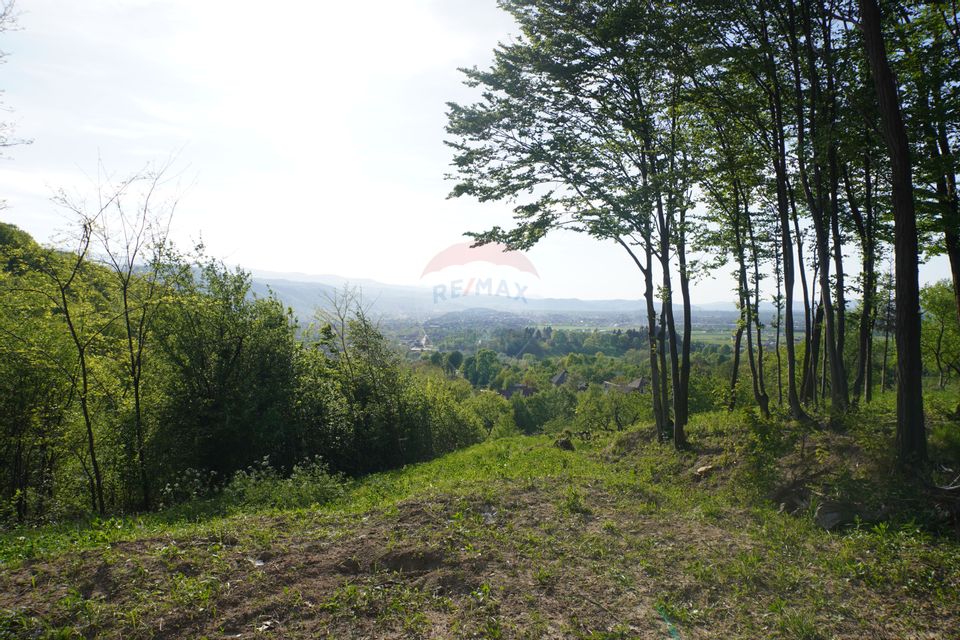 Teren 15,000mp Sighetu Marmatiei / Strada Mocăniței