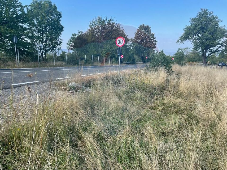 Teren 2,000mp Budesti / Strada Principala