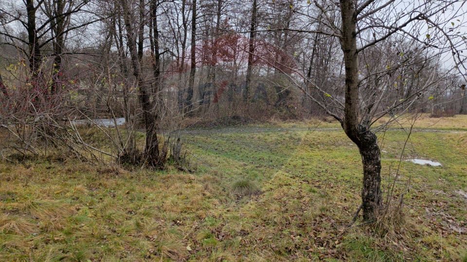 Land 2,932sqm Sarbi (Budesti) / Drumul Principal