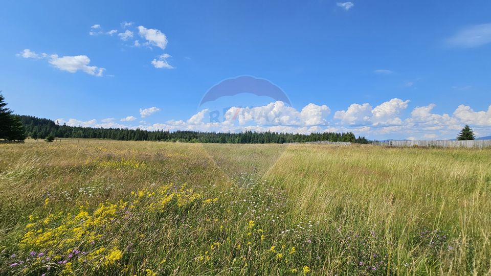 Teren parțial intravilan 30,930 mp Poiana Stampei-DN E58, Suceava