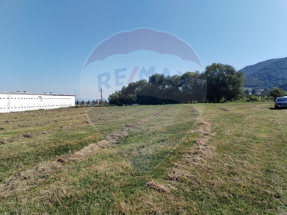 Land 3,700sqm Brasov / Strada Cucului