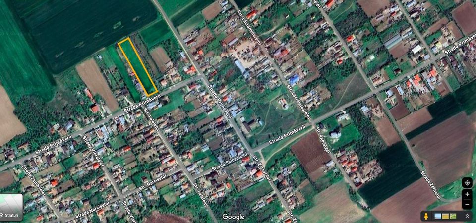 Construction land, 2500 sqm, Com Plataresti, Calarasi County