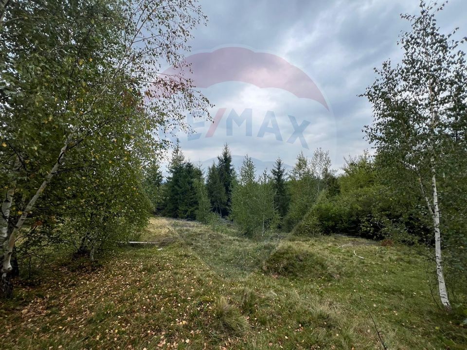 Teren extravilan parcelabil Călățele Pădure, zona Dealu Negru