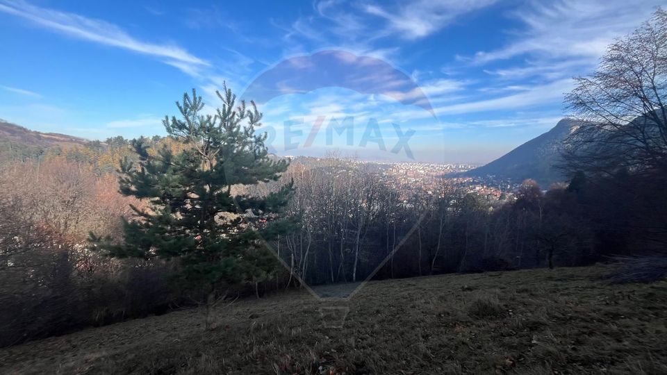 Hillside Panorama Estate – 17,684 sqm in Schei, Brașov