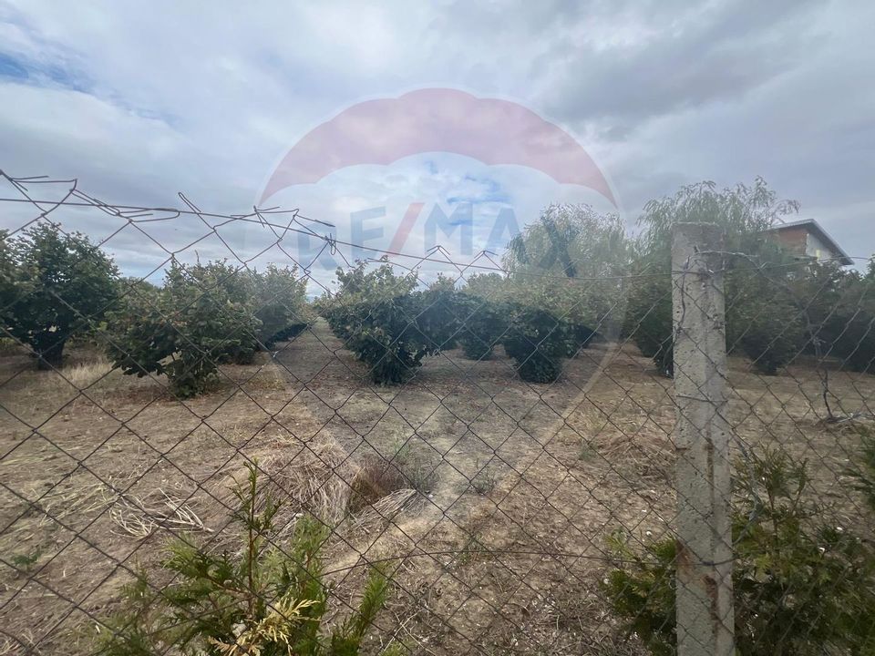 Land 1,300sqm Campineanca / Strada Hotarului