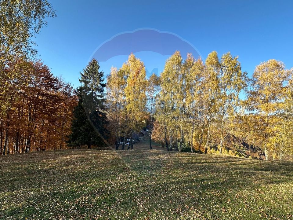 Investment opportunity ! Dream land in Pestera - 125,370 sqm