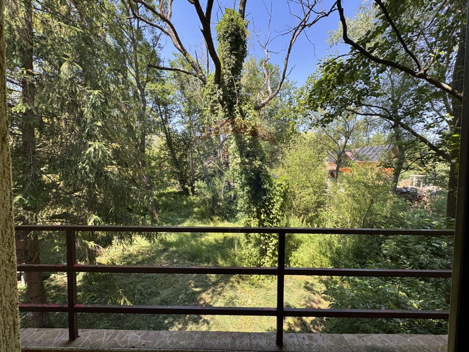 Casa cu teren generos – refugiul perfect în Paltinoasa, Suceava