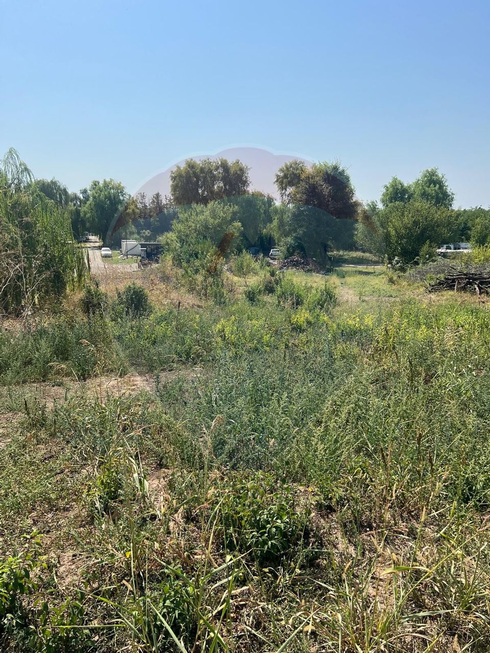 Teren de vanzare / 2,500 mp pe Malul Lacului Tancabesti /Ilfov