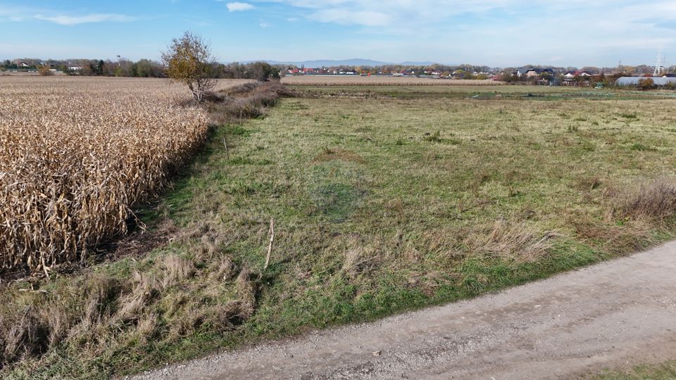 Teren intravilan | Zona Bartolomeu-Lânii | 460 mp