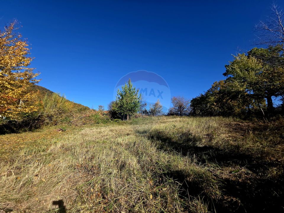 Casă / Vilă cu 5 camere de vânzare