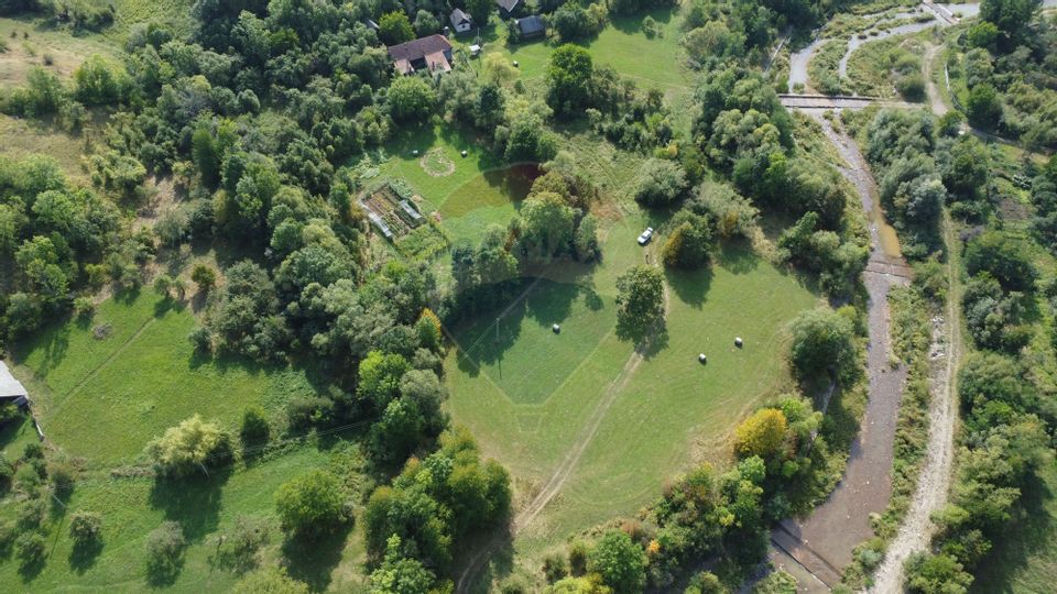 Teren 10.000 mp Calatele – Apuseni, langa rau, ideal investie turism