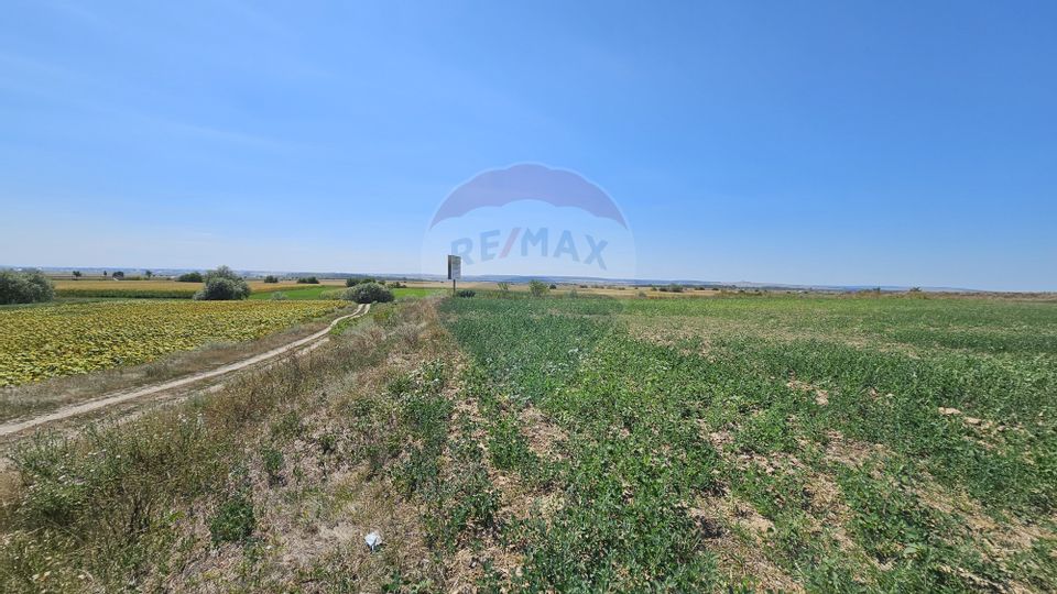 Land 52,115sqm Hutani / DJ DJ291