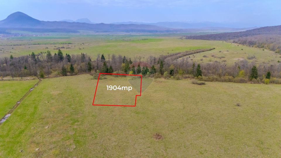 Teren Crizbav 1904 mp/PUZ/Langa Padure/Intravilan