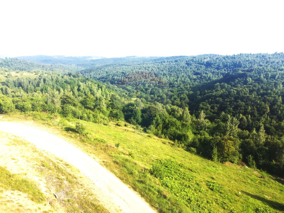 Teren de vanzare in Salicea, 10000 MP , Zona Moara de vant!