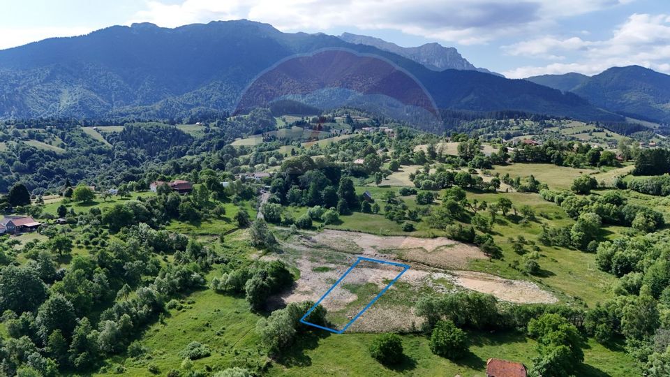 Teren intravilan 1900 mp| Sohodol | Priveliște superbă