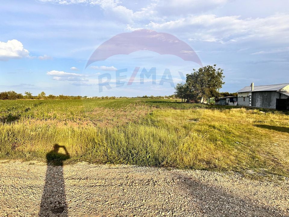 Land 9,100sqm Racari / Strada Gaterului