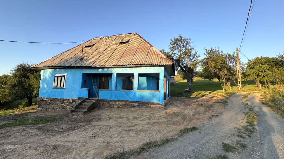 DE VANZARE CASA CU SUFELT SI ISTORIE