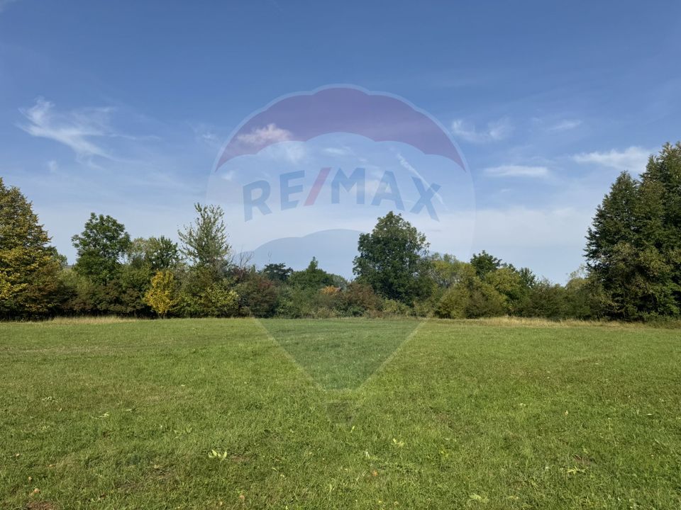 Teren 10.000 mp Calatele – Apuseni, langa rau, ideal investitie turism