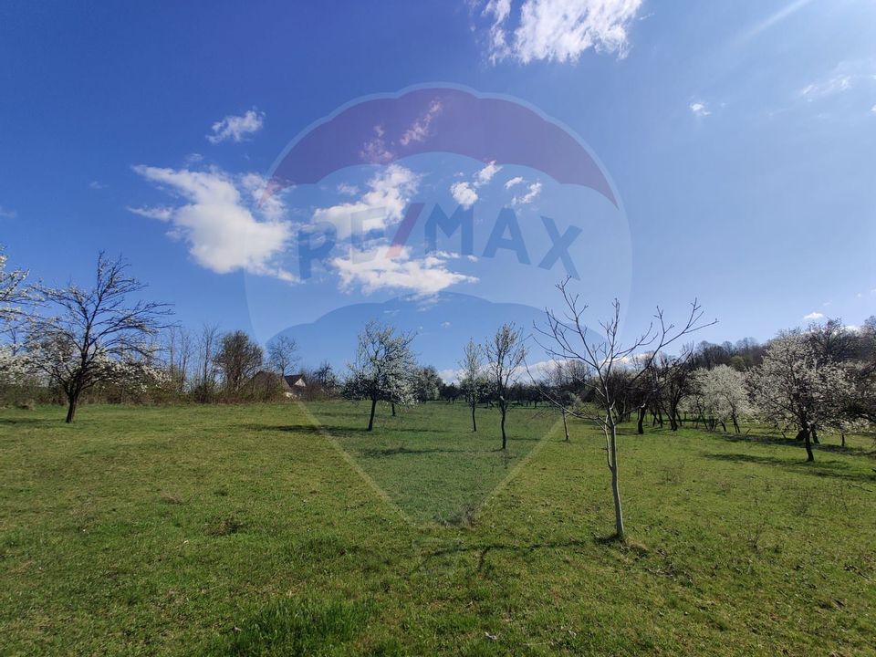 Teren intravilan pentru casă Cărbunari