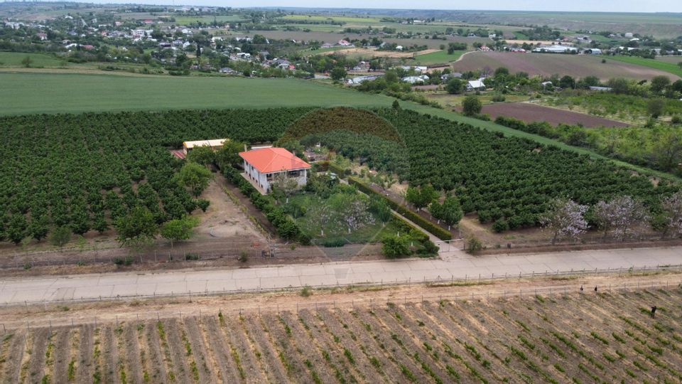 Casă - plantatie aluni  41300mp