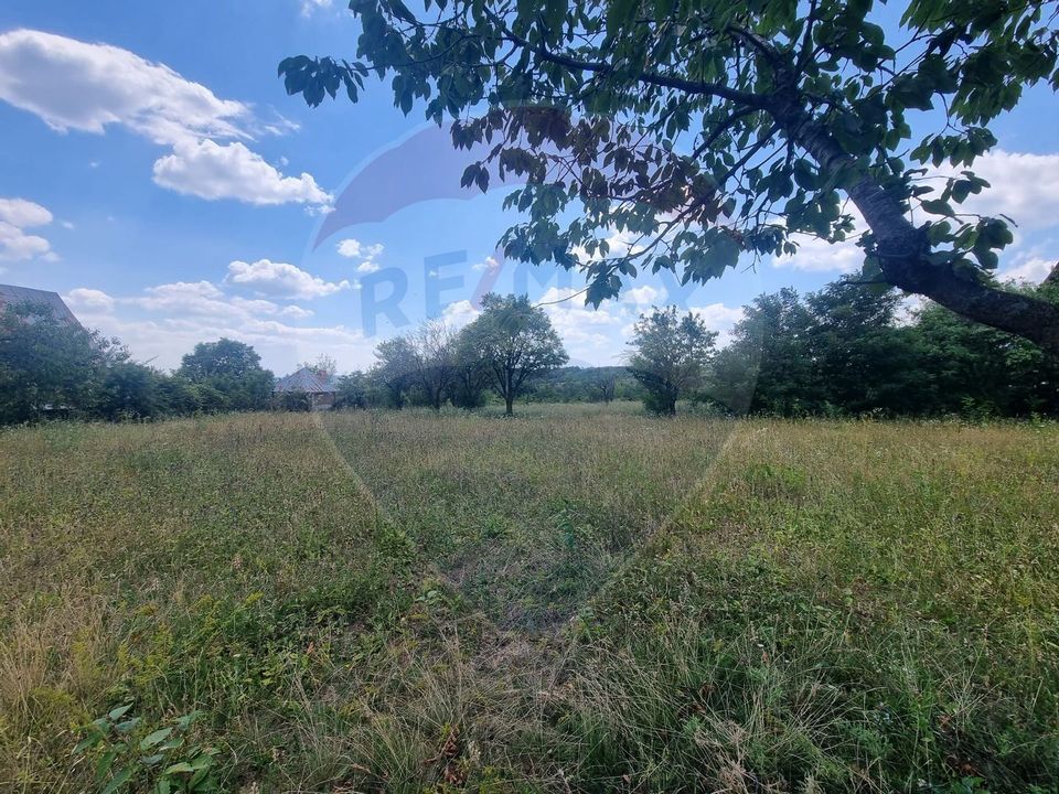 Land 11,622sqm Valenii de Munte / Strada Cismari