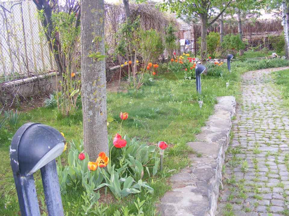 7 room House / Villa for sale