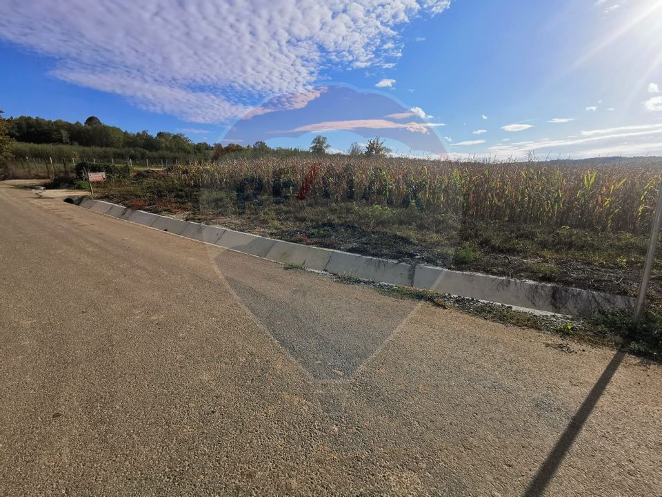 Land 1,250sqm Somcuta Mare / Strada Cornului